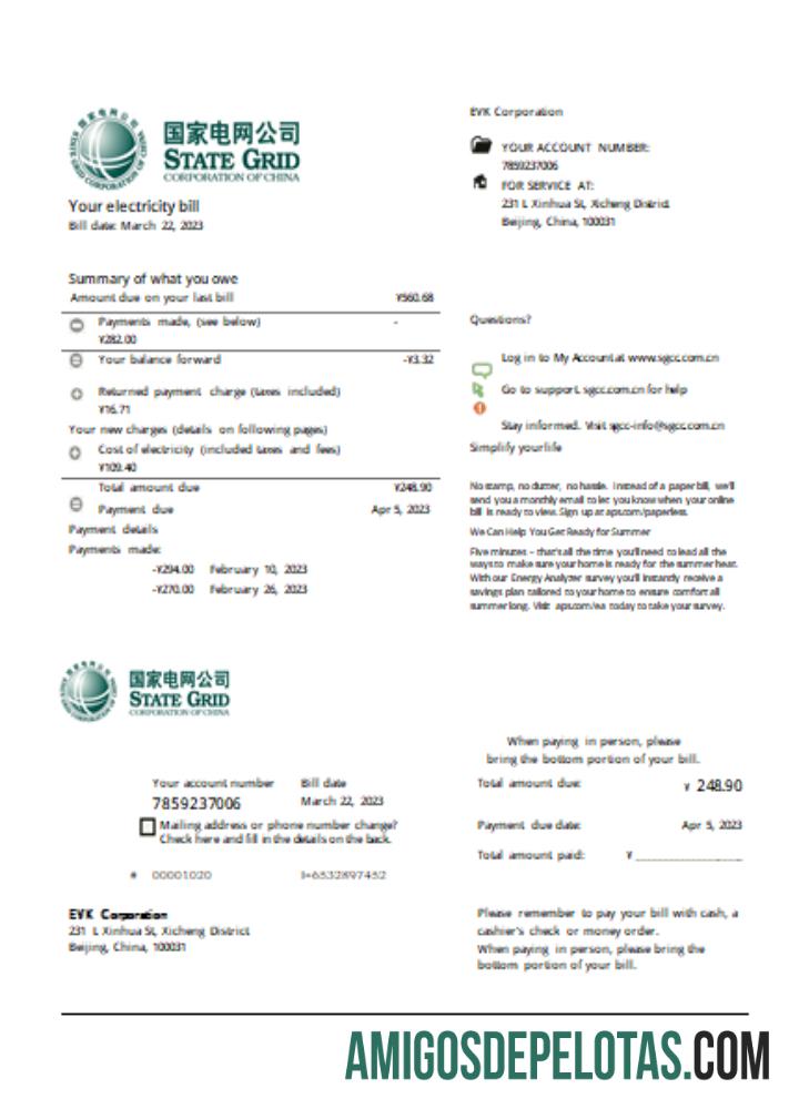 State Grid Corporation da China Electricity Utility Business Bill SCR amostra